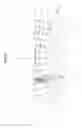 Fig. 06 - Illumination device for vehicle