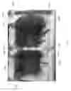 Fig. 22 - Beverage container packaging