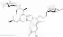 Fig. 09 - Spinosyn derivatives as insecticides