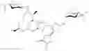 Fig. 216 - Spinosyn derivatives as insecticides