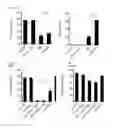 Fig. 09 - Transposon-based transfection system for primary cells
