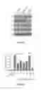 Fig. 07 - Methods And Compositions For Treating And Preventing Disease Associated With Alpha 8 Beta 1 Integrin