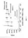 Fig. 06 - Isotachophoresis for purification of nucleic acids