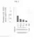 Fig. 07 - Pharmaceutical Composition
