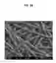 Fig. 09 - Membrane electrode assembly for proton exchange membrane water electrolyzer and method of preparing membrane electrode assembly for proton exchange membrane water electrolyzer