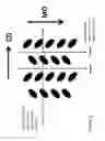 Fig. 03 - Nonwoven fabric and process for forming the same