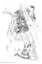 Fig. 02 - Hydrostatic transmission pedal stroke limiter
