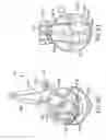 Fig. 40 - Primed siphonic flush toilet