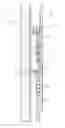 Fig. 01 - Methods and systems for controlling substances flowing through in an inner diameter of a tool