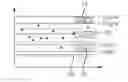 Fig. 01 - GAS TURBINE COMPONENT SELECTION AT MANUFACTURE