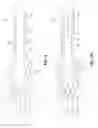 Fig. 07 - GAS DYNAMIC VALVE