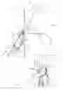 Fig. 06 - Airborne wind turbine