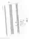 Fig. 02 - Multi-featured panel fastener and panel system including the multi-featured panel fastener