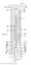 Fig. 01 - Firearm suppressor
