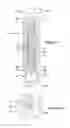 Fig. 07 - Firearm suppressor