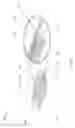 Fig. 02 - CAPTURING PARTICLES