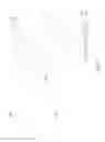 Fig. 02 - Pellicle for advanced lithography