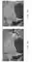 Fig. 08 - Method for aerial imagery acquisition and analysis