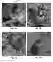 Fig. 08 - Machine learning system for generating classification data and part localization data for objects depicted in images