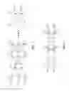 Fig. 02 - Sparse neural network training optimization
