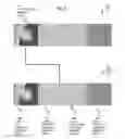 Fig. 09 - Method and apparatus to perform local de-noising of a scanning imager image