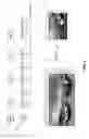Fig. 07 - Haptic effect generation for space-dependent content