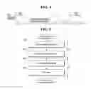 Fig. 04 - Storage device and refresh method thereof