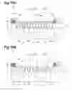 Fig. 11 - Photodetection element