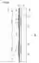 Fig. 07 - Light emitting device
