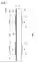 Fig. 08 - Light emitting device