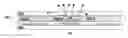 Fig. 01 - Substrate, method for manufacturing the same, and display device