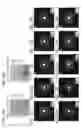 Fig. 33 - Manufacturing method of light-emitting device, light-emitting device, module, and electronic device