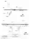 Fig. 09 - Method and apparatus for coupling an electromagnetic wave to a transmission medium