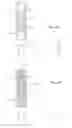 Fig. 09 - Method of manufacturing antenna device and antenna device