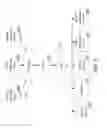 Fig. 07 - Default to signed-in state