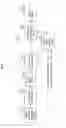 Fig. 02 - Image processing device, imaging processing method, and program