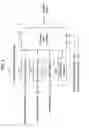 Fig. 07 - Image processing device, imaging processing method, and program