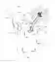 Fig. 06 - Systems and methods for providing wireless access security by interrogation
