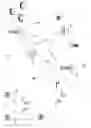 Fig. 02 - Pre-coded RTS/CTS for synchronous NR-SS