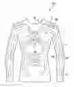 Fig. 01 - Wiring film, device transfer sheet, and textile type device