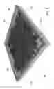 Fig. 02 - MODULAR PET WASTE SYSTEM