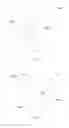 Fig. 02 - Bra cup and manufacturing method thereof