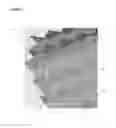 Fig. 07 - HELMET INSERT