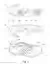 Fig. 06 - Shoe upper