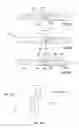 Fig. 06 - METHOD FOR FORMING A SHELL BODY AND SHELL BODY OBTAINED THEREWITH