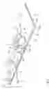 Fig. 02 - Apparatus for presenting items, particularly eyeglasses