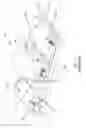 Fig. 02 - SCRUBBER HEAD FOR FLOOR CLEANER
