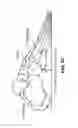 Fig. 08 - METHODS AND SYSTEMS FOR SIZING AN ORTHOTIC DEVICE