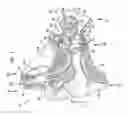 Fig. 02 - Hearing prosthesis efficacy altering and/or forecasting techniques