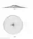 Fig. 03 - Degradable occluder